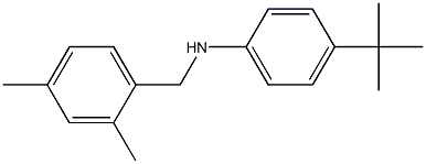 4-tert-butyl-N-[(2,4-dimethylphenyl)methyl]aniline Struktur