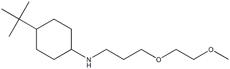 4-tert-butyl-N-[3-(2-methoxyethoxy)propyl]cyclohexan-1-amine Struktur