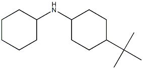 4-tert-butyl-N-cyclohexylcyclohexan-1-amine Struktur