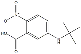 5-(tert-butylamino)-2-nitrobenzoic acid Struktur