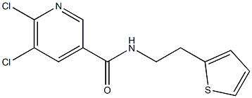 5,6-dichloro-N-[2-(thiophen-2-yl)ethyl]pyridine-3-carboxamide Struktur