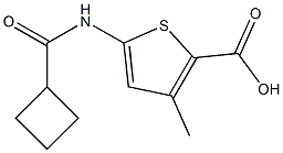 5-[(cyclobutylcarbonyl)amino]-3-methylthiophene-2-carboxylic acid Struktur