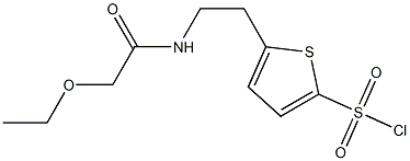 5-[2-(2-ethoxyacetamido)ethyl]thiophene-2-sulfonyl chloride Struktur