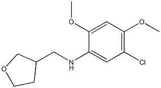 5-chloro-2,4-dimethoxy-N-(oxolan-3-ylmethyl)aniline Struktur