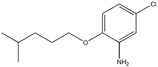 5-chloro-2-[(4-methylpentyl)oxy]aniline Struktur