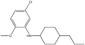 5-chloro-2-methoxy-N-(4-propylcyclohexyl)aniline Struktur