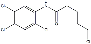 5-chloro-N-(2,4,5-trichlorophenyl)pentanamide Struktur