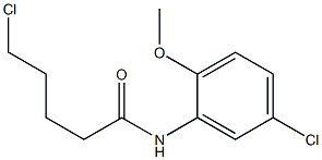 5-chloro-N-(5-chloro-2-methoxyphenyl)pentanamide Struktur