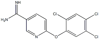 6-(2,4,5-trichlorophenoxy)pyridine-3-carboximidamide Struktur