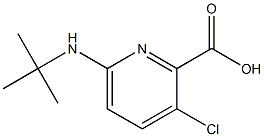 6-(tert-butylamino)-3-chloropyridine-2-carboxylic acid Struktur