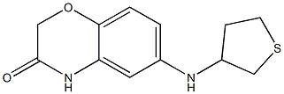 6-(thiolan-3-ylamino)-3,4-dihydro-2H-1,4-benzoxazin-3-one Struktur