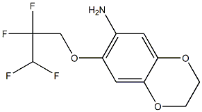 7-(2,2,3,3-tetrafluoropropoxy)-2,3-dihydro-1,4-benzodioxin-6-amine Struktur