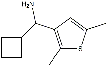 cyclobutyl(2,5-dimethylthiophen-3-yl)methanamine Struktur