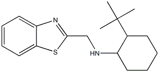 N-(1,3-benzothiazol-2-ylmethyl)-2-tert-butylcyclohexan-1-amine Struktur