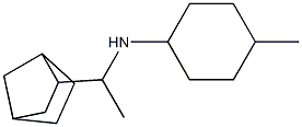 N-(1-{bicyclo[2.2.1]heptan-2-yl}ethyl)-4-methylcyclohexan-1-amine Struktur