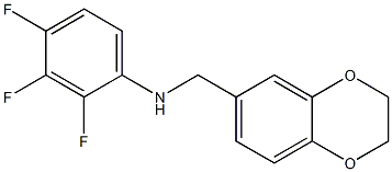 N-(2,3-dihydro-1,4-benzodioxin-6-ylmethyl)-2,3,4-trifluoroaniline Struktur