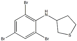 N-(2,4,6-tribromophenyl)thiolan-3-amine Struktur