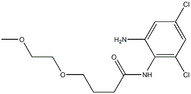 N-(2-amino-4,6-dichlorophenyl)-4-(2-methoxyethoxy)butanamide Struktur