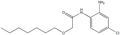 N-(2-amino-4-chlorophenyl)-2-(heptyloxy)acetamide Struktur