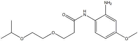 N-(2-amino-4-methoxyphenyl)-3-[2-(propan-2-yloxy)ethoxy]propanamide Struktur