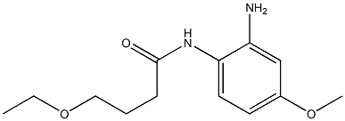 N-(2-amino-4-methoxyphenyl)-4-ethoxybutanamide Struktur