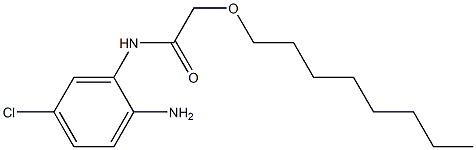 N-(2-amino-5-chlorophenyl)-2-(octyloxy)acetamide Struktur