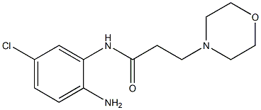 N-(2-amino-5-chlorophenyl)-3-morpholin-4-ylpropanamide Struktur