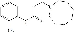 N-(2-aminophenyl)-3-(azocan-1-yl)propanamide Struktur