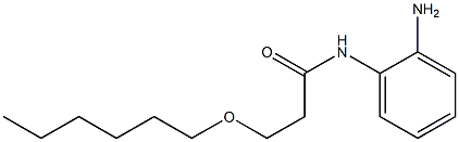 N-(2-aminophenyl)-3-(hexyloxy)propanamide Struktur