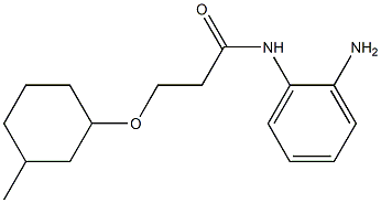 N-(2-aminophenyl)-3-[(3-methylcyclohexyl)oxy]propanamide Struktur