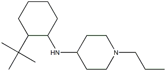 N-(2-tert-butylcyclohexyl)-1-propylpiperidin-4-amine Struktur