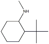 N-(2-tert-butylcyclohexyl)-N-methylamine Struktur