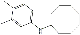 N-(3,4-dimethylphenyl)cyclooctanamine Struktur