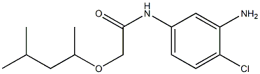 N-(3-amino-4-chlorophenyl)-2-[(4-methylpentan-2-yl)oxy]acetamide Struktur