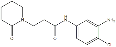 N-(3-amino-4-chlorophenyl)-3-(2-oxopiperidin-1-yl)propanamide Struktur