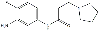 N-(3-amino-4-fluorophenyl)-3-pyrrolidin-1-ylpropanamide Struktur