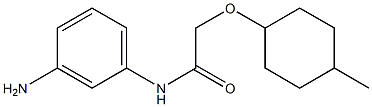 N-(3-aminophenyl)-2-[(4-methylcyclohexyl)oxy]acetamide Struktur