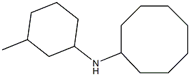 N-(3-methylcyclohexyl)cyclooctanamine Struktur