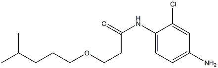 N-(4-amino-2-chlorophenyl)-3-[(4-methylpentyl)oxy]propanamide Struktur