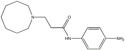 N-(4-aminophenyl)-3-(azocan-1-yl)propanamide Struktur