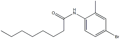 N-(4-bromo-2-methylphenyl)octanamide Struktur