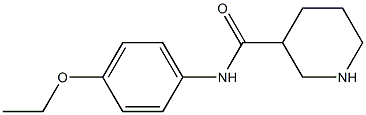 N-(4-ethoxyphenyl)piperidine-3-carboxamide Struktur