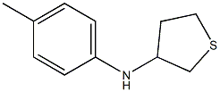 N-(4-methylphenyl)thiolan-3-amine Struktur