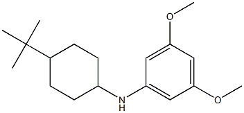 N-(4-tert-butylcyclohexyl)-3,5-dimethoxyaniline Struktur