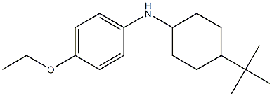 N-(4-tert-butylcyclohexyl)-4-ethoxyaniline Struktur