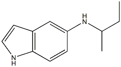 N-(butan-2-yl)-1H-indol-5-amine Struktur