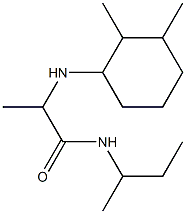 N-(butan-2-yl)-2-[(2,3-dimethylcyclohexyl)amino]propanamide Struktur