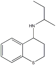 N-(butan-2-yl)-3,4-dihydro-2H-1-benzothiopyran-4-amine Struktur