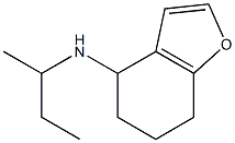 N-(butan-2-yl)-4,5,6,7-tetrahydro-1-benzofuran-4-amine Struktur