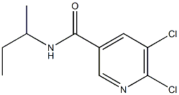 N-(butan-2-yl)-5,6-dichloropyridine-3-carboxamide Struktur